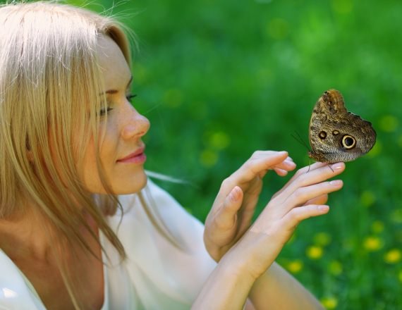 הסיפור מאחורי השיר