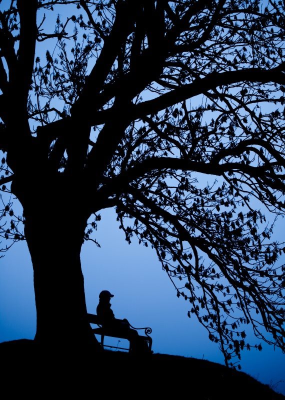 "למה אף אחד לא מדבר על האחוז המטורף של הגברים המתאבדים בישראל?"