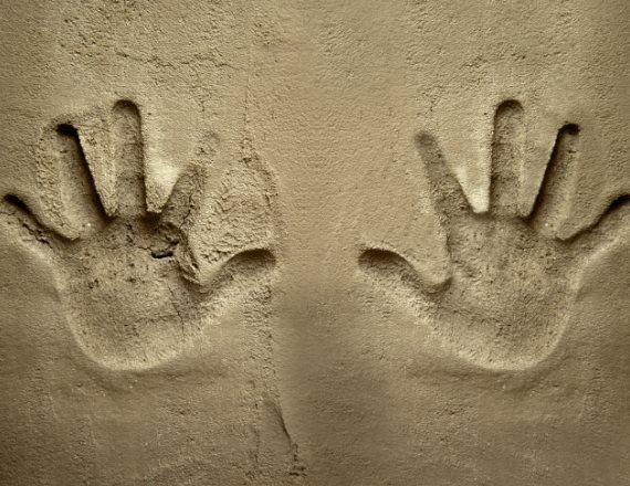 אילוסטרציה