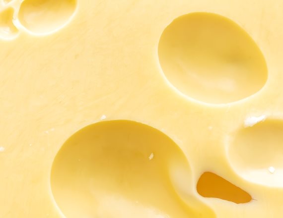 "כל מה שרציתי היה גבינה צהובה"