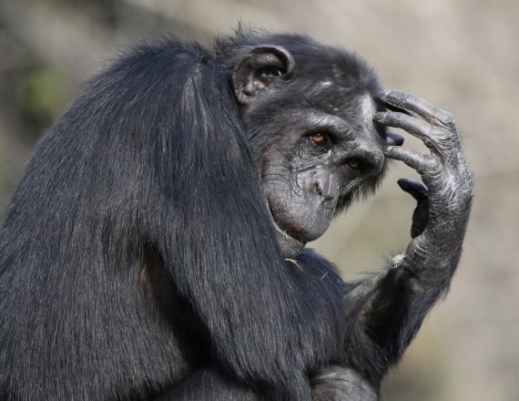 תמונת אילוסטרציה