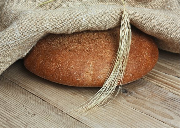 אילוסטרציה