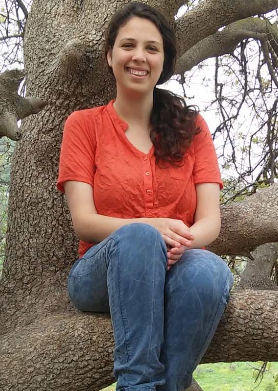 אורי אנסבכר