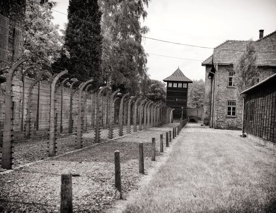 הארכיונים הסודיים נפתחו