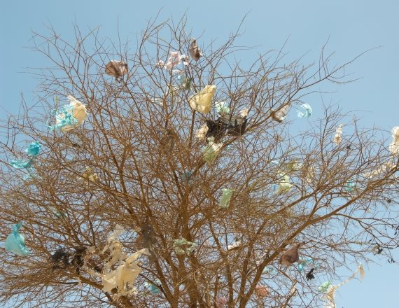 בקרוב יהיה ניתן להפיק מזה חשמל?