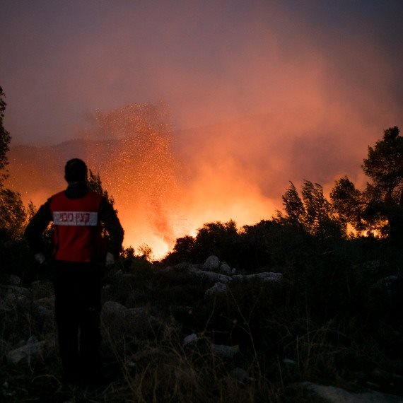 היום שאחרי השריפות