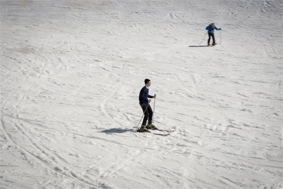 מדוע הסורים מקנאים בנו?