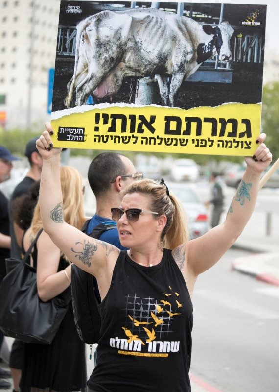 הפעילה למען זכויות בעלי החיים טל גלבוע