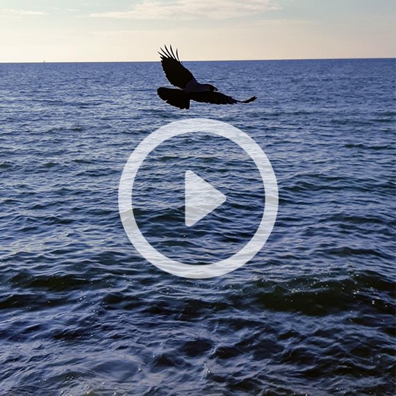 שבת עברית לכבוד הקיץ