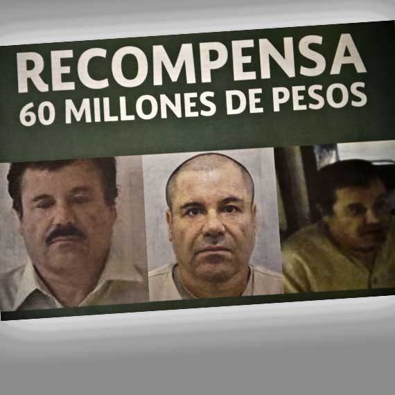 2015: כמעט 4 מיליון דולר למוסר המידע שיוביל ללכידתו. אל צ'אפו