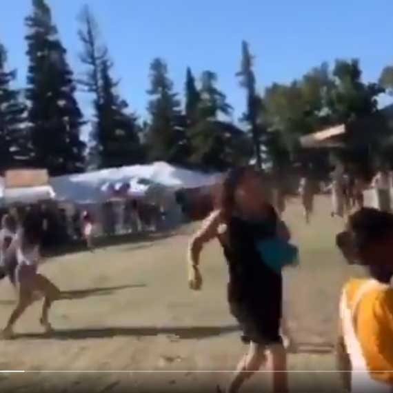 הירי בקליפורניה