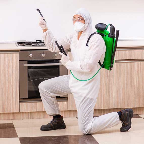 למצולם אין קשר לבוריסס המרסס