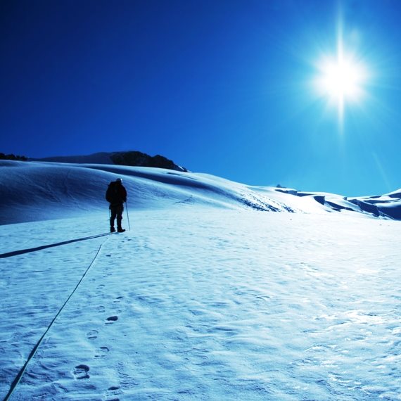 מסע מושלג למרות הכל