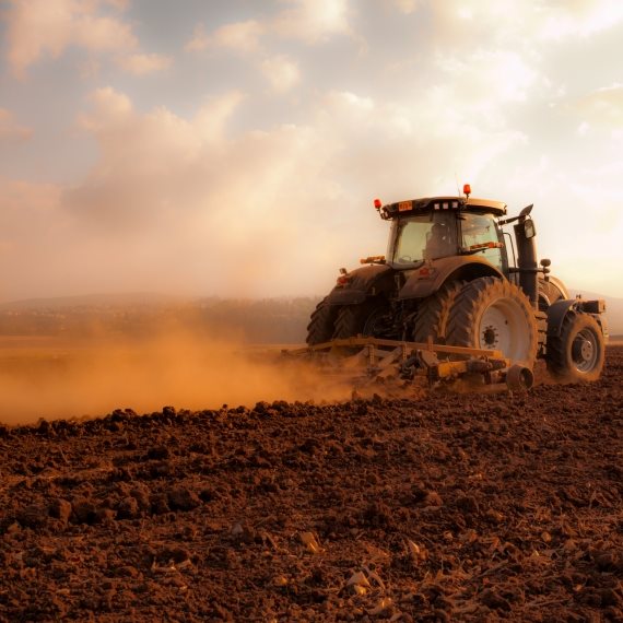 אילוסטרציה