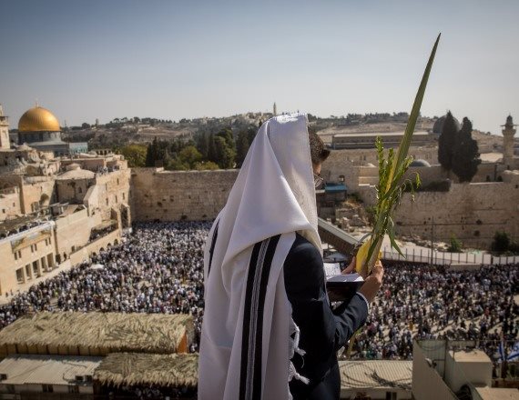 סוכות בירושלים, אולי שם יהיה נעים יותר?