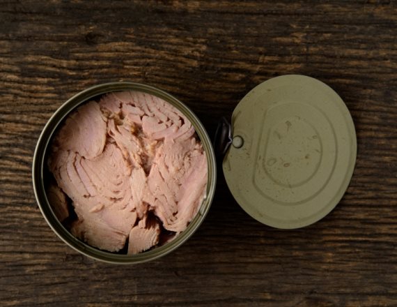 "אולי נפלנו על טונה מצוננת"