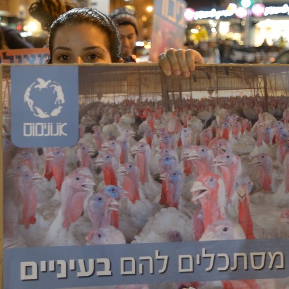 מזל טוב לטבעונות