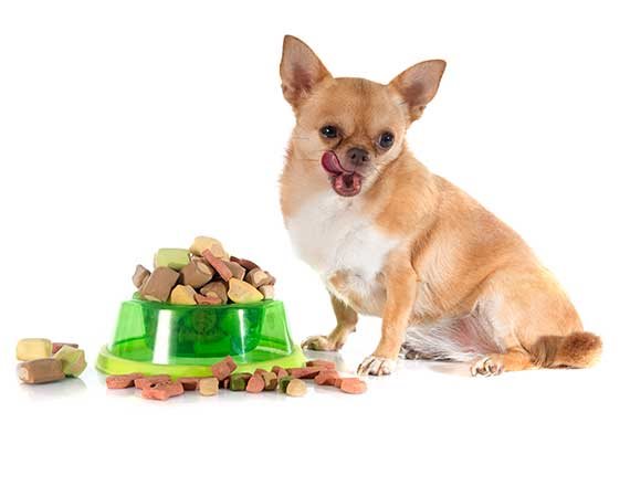 תאכילו, אבל בטעם