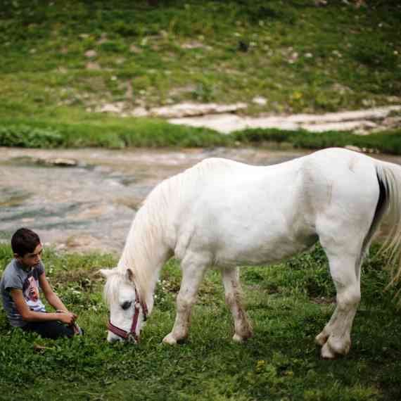 רכיבה טיפולית