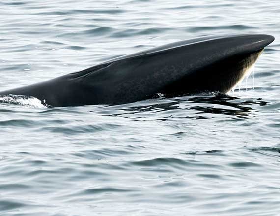 לא רק בחופש הגדול
