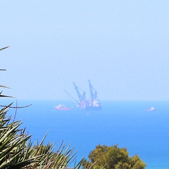 אסדת לוויתן