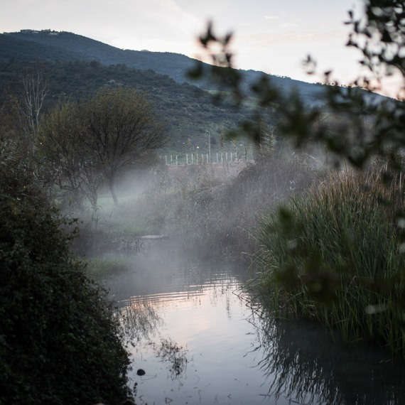 צילום ארכיון - נחל הקישון