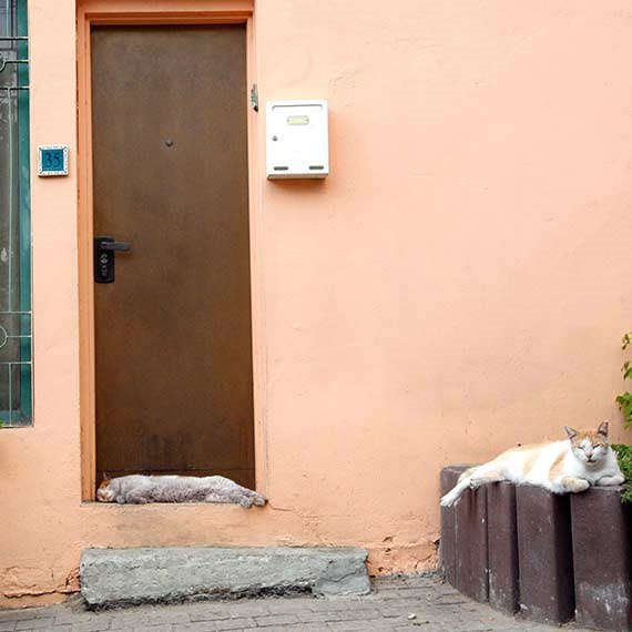 "מחירי הדיור עולים"