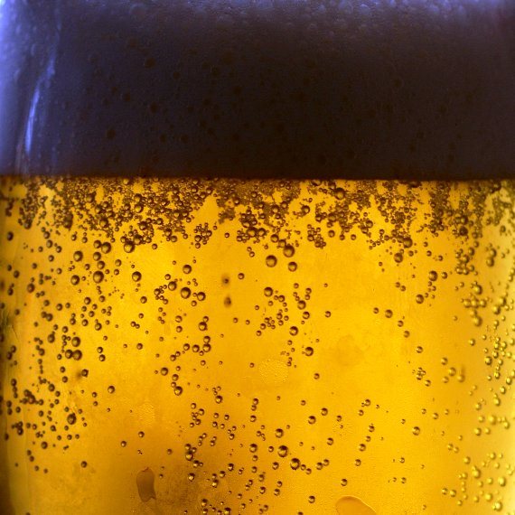 הבירה מוגנת