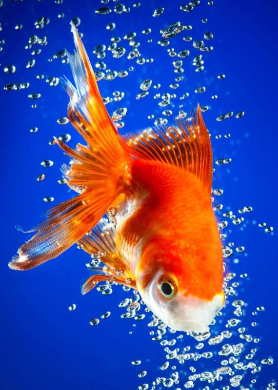 "כל כך אוהב שהבן אדם מחליט מי לחיים ומי למוות"