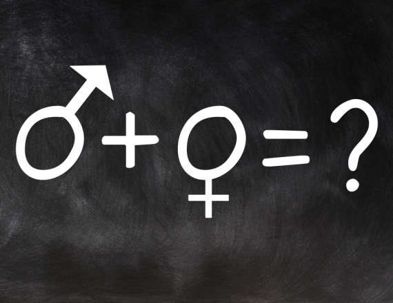 מלחמת המינים