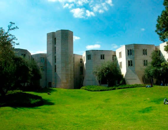 האוניברסיטה העברית