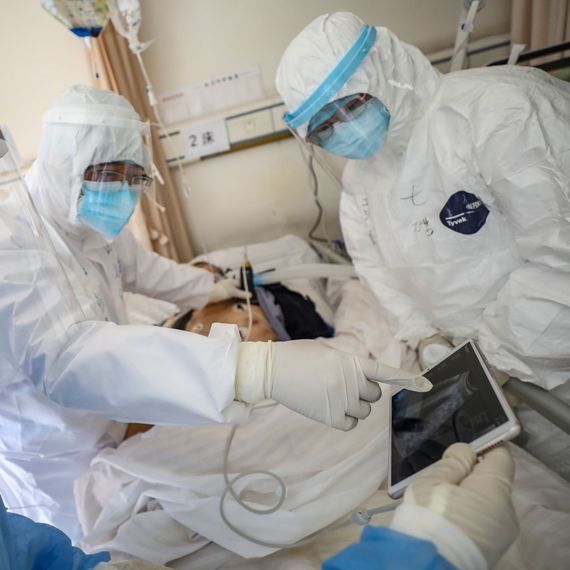 נגיף הקורונה