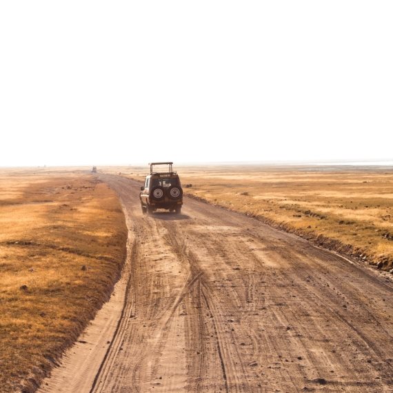 "אין לנו שום אינפורמציה לגבי מה שקורה באפריקה"