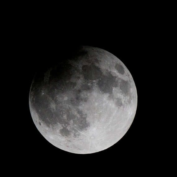 המלצת הספרות של בני ציפר