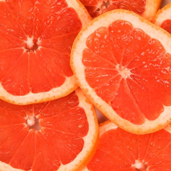 החיים ללא אשכוליות