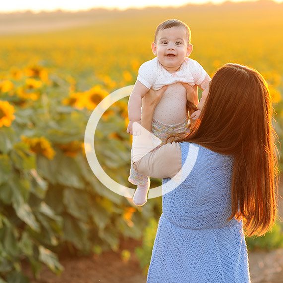 שדה חמניות, בסוף השבוע האחרון