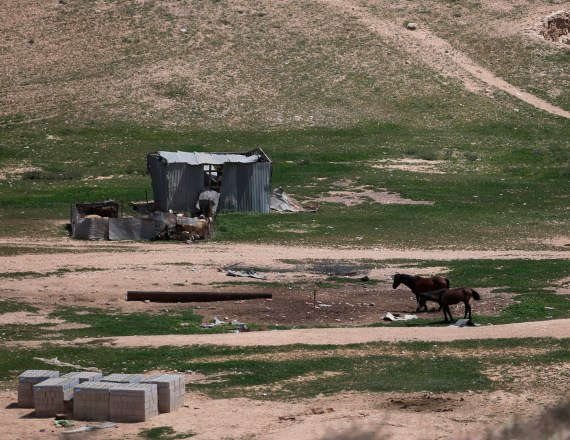 הפשע במגזר הבדואי