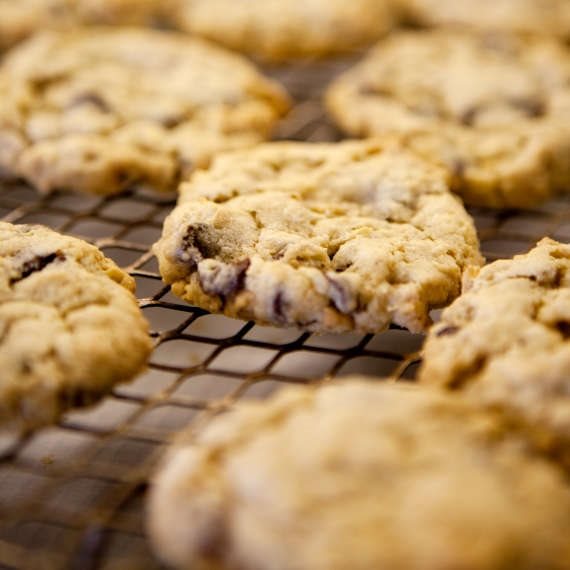 העוגייה האבודה