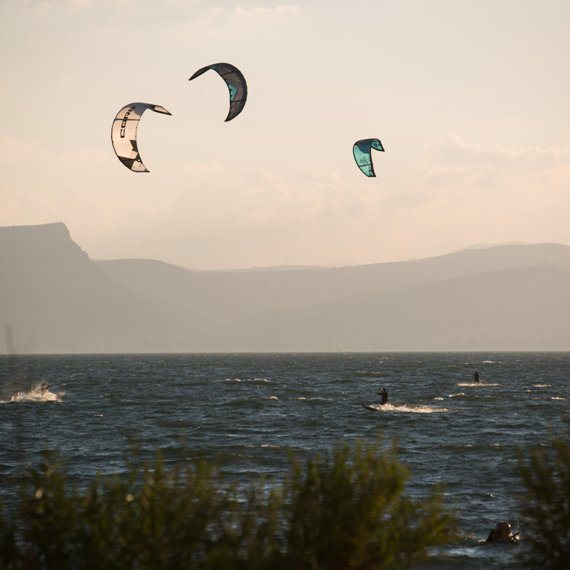 הוי כנרת שלי