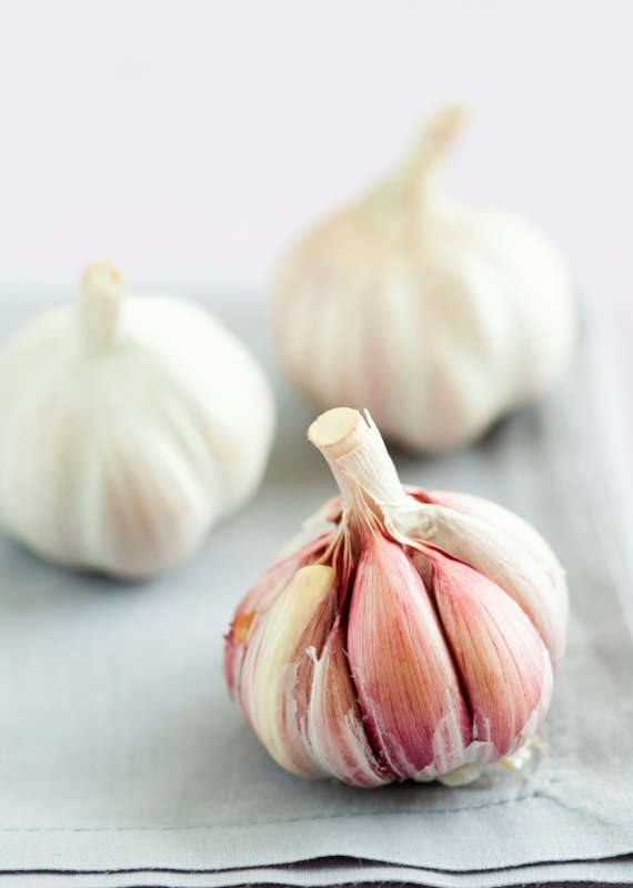 פינת המיתוסים