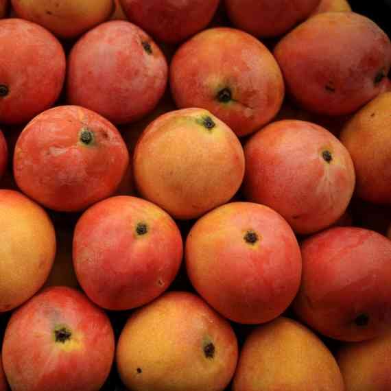 "המנגו הוא מאוד מתוק"