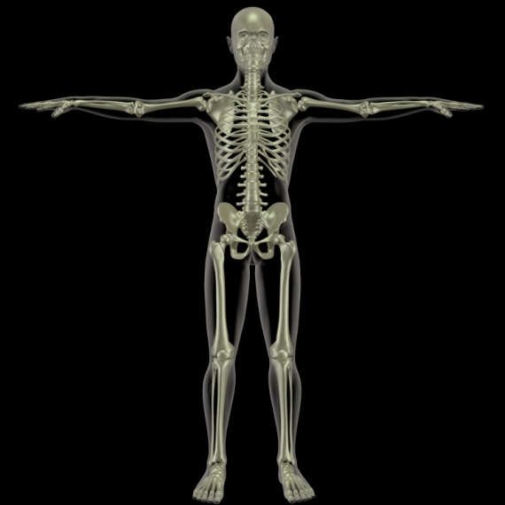 לחזק את עצמות הגוף