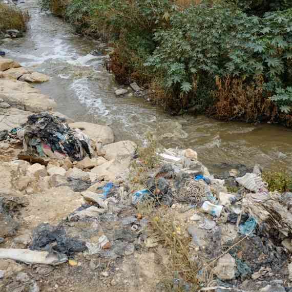 "כמויות שאי אפשר לתאר"