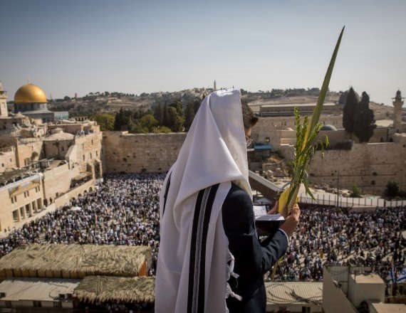 חרדי אוחז בלולב