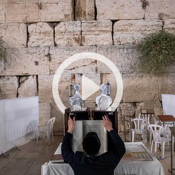 מתחילים מבראשית: קריאת האותיות הראשונות של התורה מול הכותל המערבי, אתמול