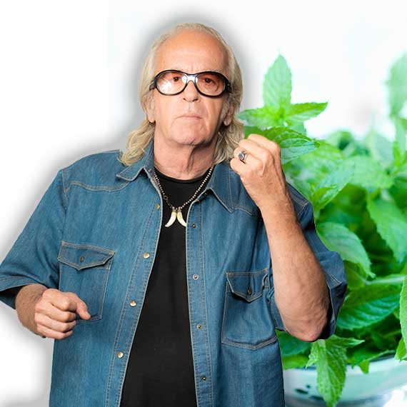 זהבי ופירות החשיפה