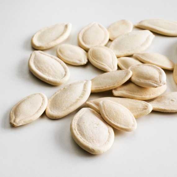 גרעיני דלעת