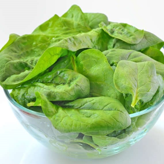 פינת המיתוסים