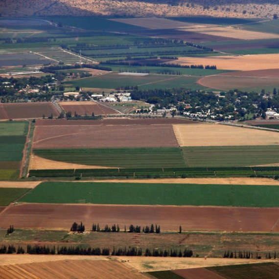 שדות חקלאיים