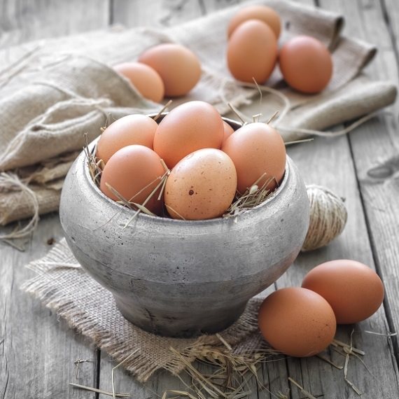 חופשי ומאושר